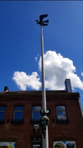 Mechelen-A gen Vogelstang (3)