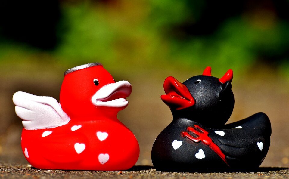 Opposites ducks rubber