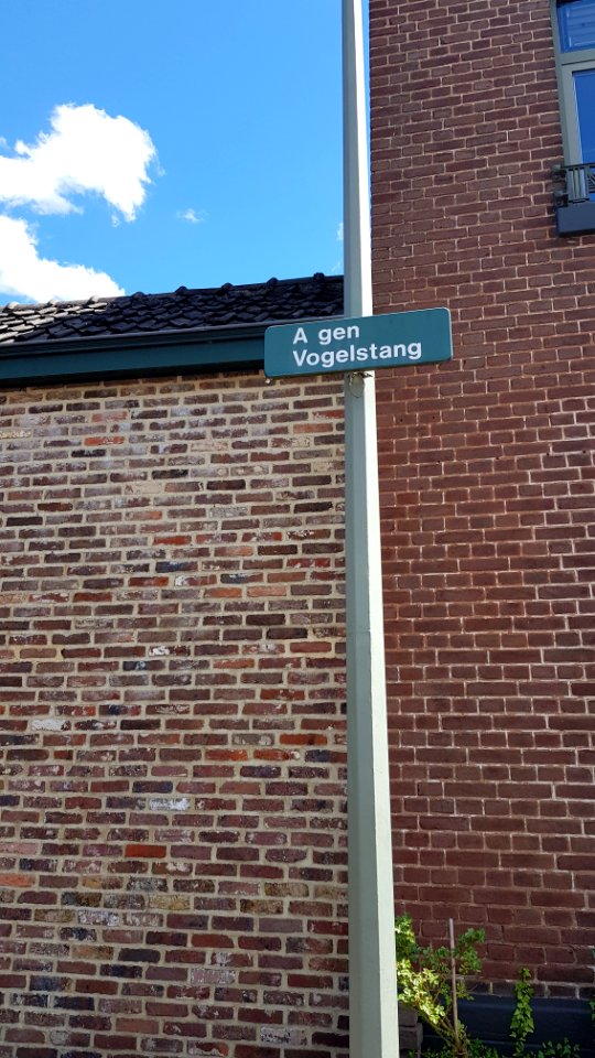 Mechelen-A gen Vogelstang (1)