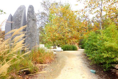 McConnell Arboretum & Botanical Gardens - DSC02969