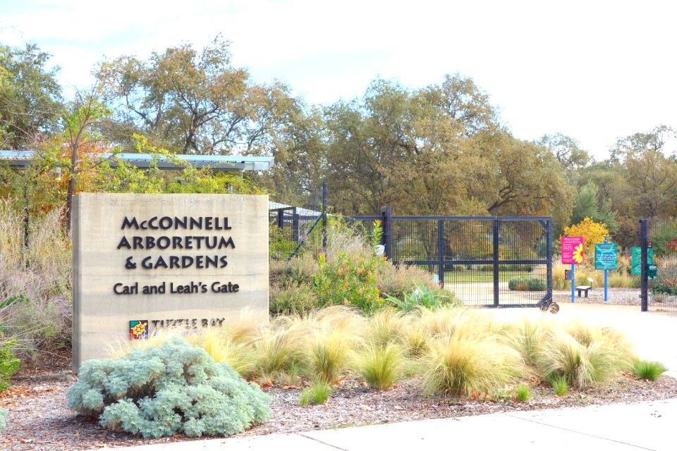 McConnell Arboretum & Botanical Gardens - Redding, California - DSC02929