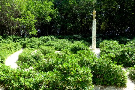 Maze garden - Vizcaya Museum and Gardens - Miami, Florida - DSC08719