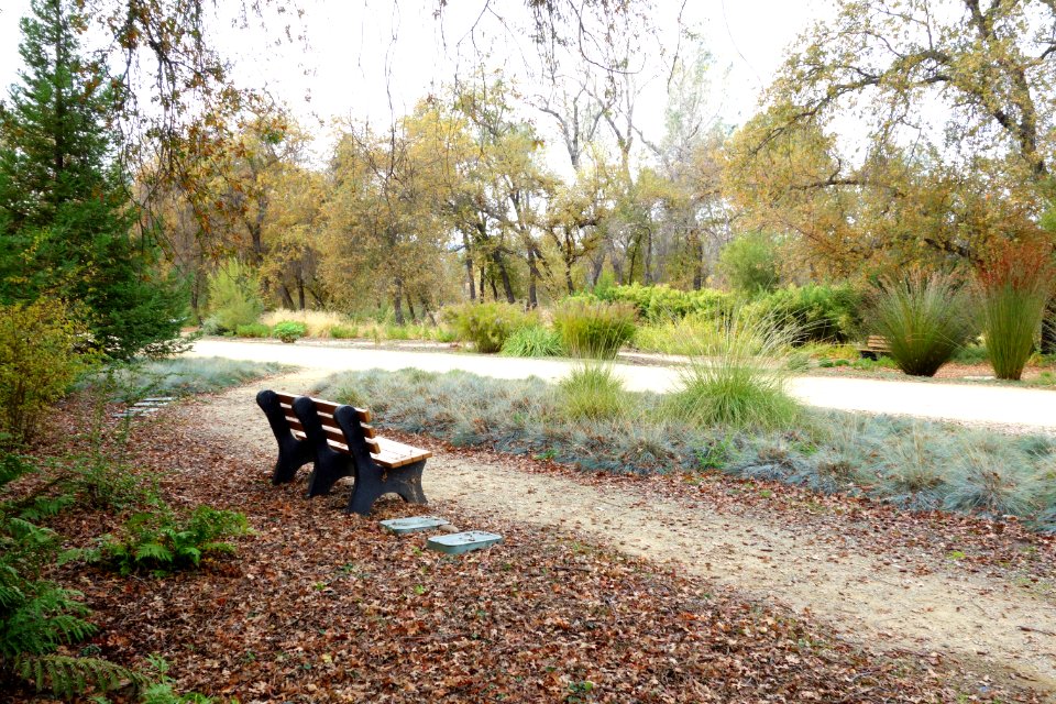 McConnell Arboretum & Botanical Gardens - Redding, California - DSC02990