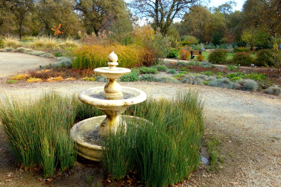 McConnell Arboretum & Botanical Gardens - Redding, California - DSC02935