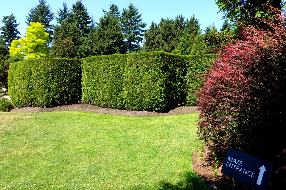 Maze - VanDusen Botanical Garden - Vancouver, BC - DSC07032