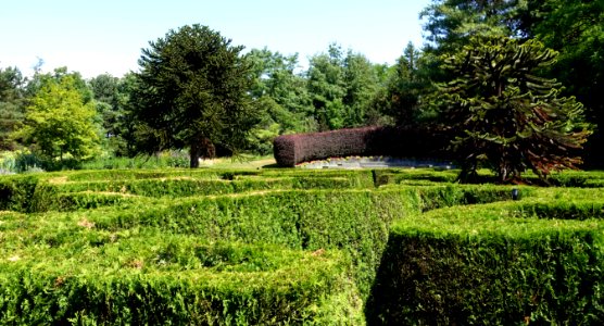 Maze - VanDusen Botanical Garden - Vancouver, BC - DSC07036