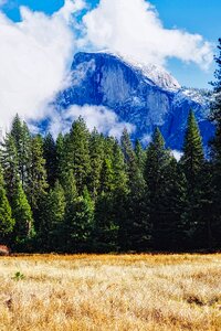 California landscape meadow photo