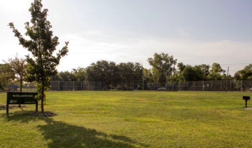 McCullough Park - 05 - Field
