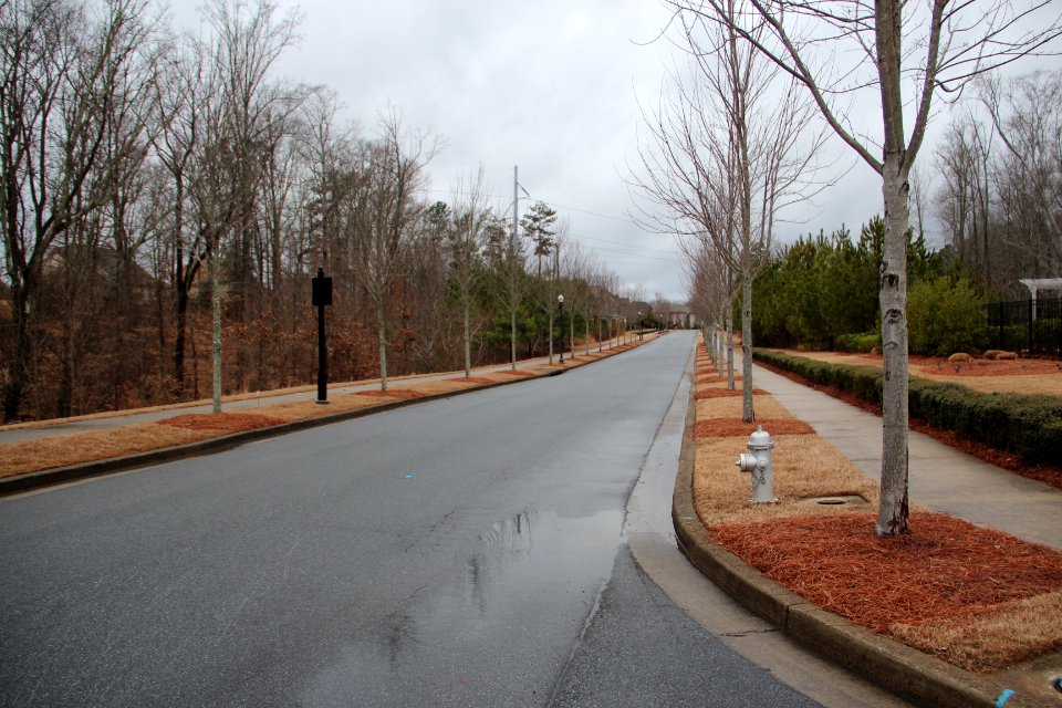 McFarlin Lane, Milton, GA Feb 2018 1