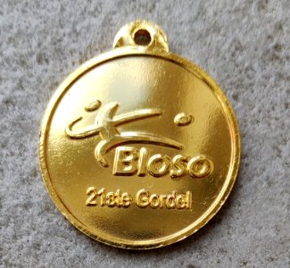 Medaille De Gordel 2001 achter
