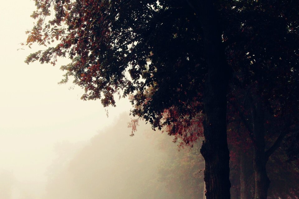 Away landscape autumn