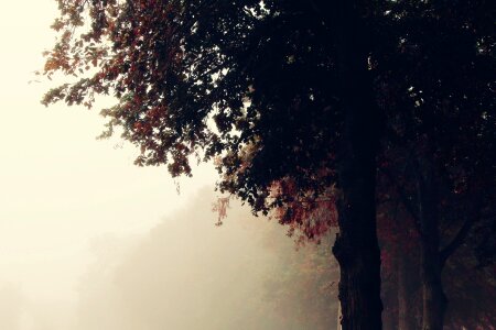 Away landscape autumn