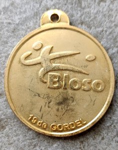 Medaille De Gordel 1999 achter
