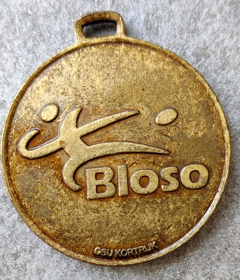 Medaille De Gordel 1993 achter
