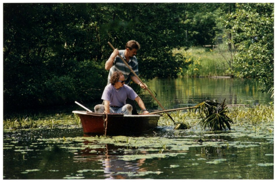 Medewerkers van Hout en Plantsoenen verwijderen de waterplant Krabbescheer uit de Europavaart. NL-HlmNHA 54036356