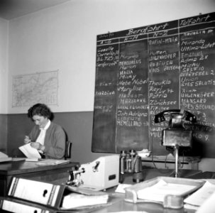 Medewerkster achter bureau in het kantoor van rederij Damco in Emmerich, Bestanddeelnr 254-0981