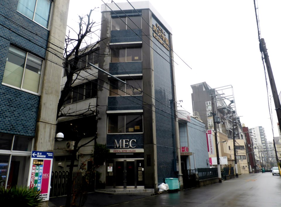 MEDICAL ESTHE COLLEGE (1)