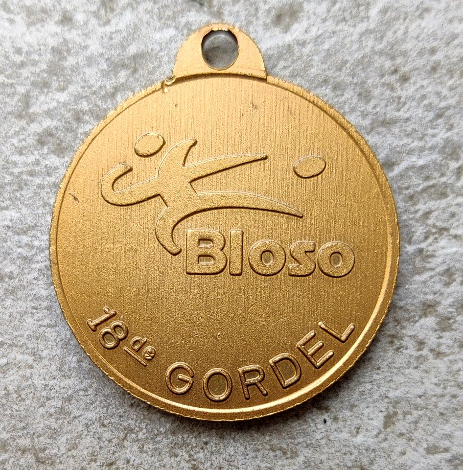 Medaille De Gordel 1998 achter