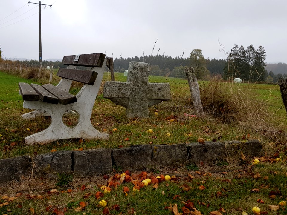 Medendorf-Kreuz auf der Flins (1)