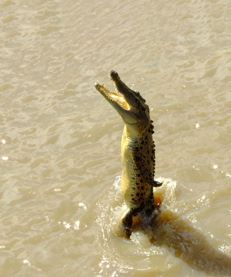 River australia north west