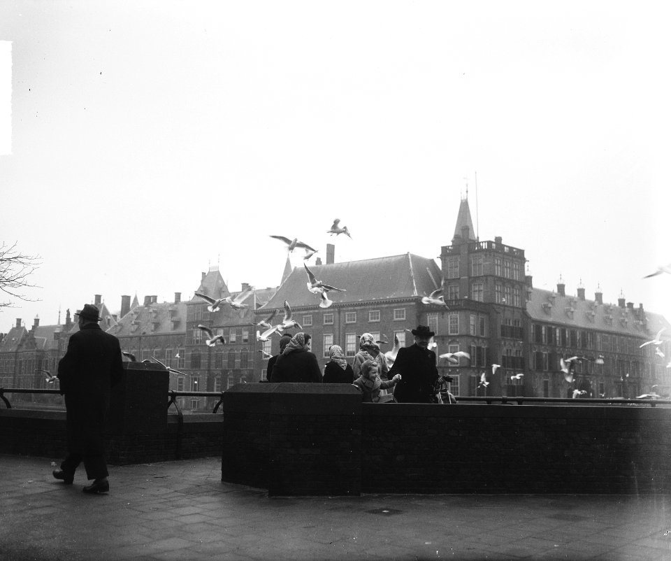 Meeuwen voederen in Den Haag, Bestanddeelnr 903-1843