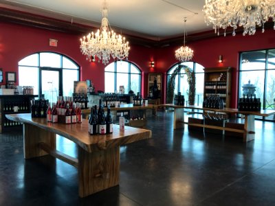 Megalomaniac Winery interior