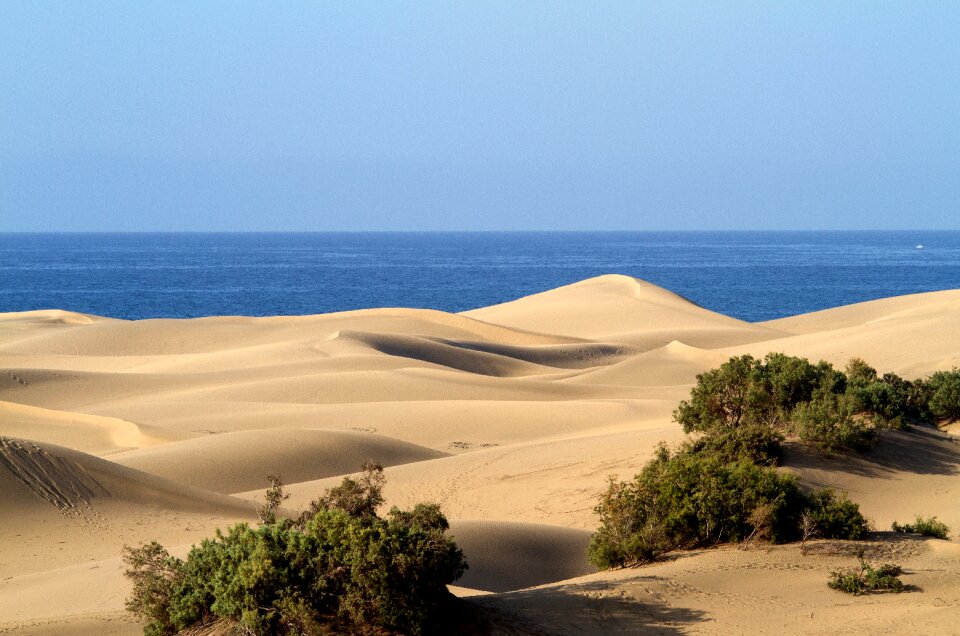 Gran canaria maspalomas sand dunes