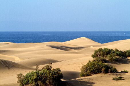 Gran canaria maspalomas sand dunes photo