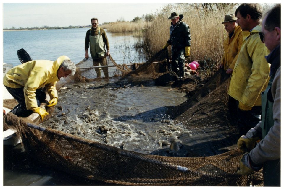 Meerwijkplas de kwaliteit van de vis wordt onderzocht. NL-HlmNHA 54037295