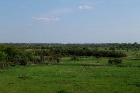 Meadow in Ragow 2021-05-11 25