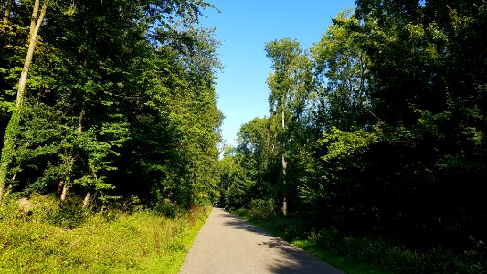 Meerssen-Meerssenderbroek (1)