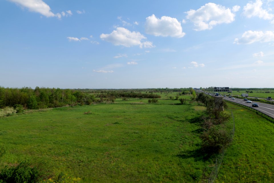 Meadow in Ragow 2021-05-11 23