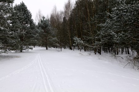 Meadow in the northeast of the Spandauer Forst with snow 2021-02-09 07