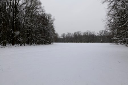 Meadow in the northwest of the Spandauer Forst with snow 2021-02-09 04