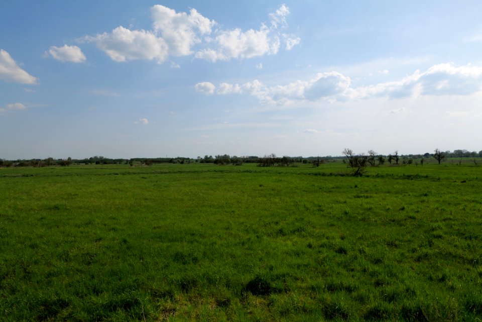 Meadow in Ragow 2021-05-11 19