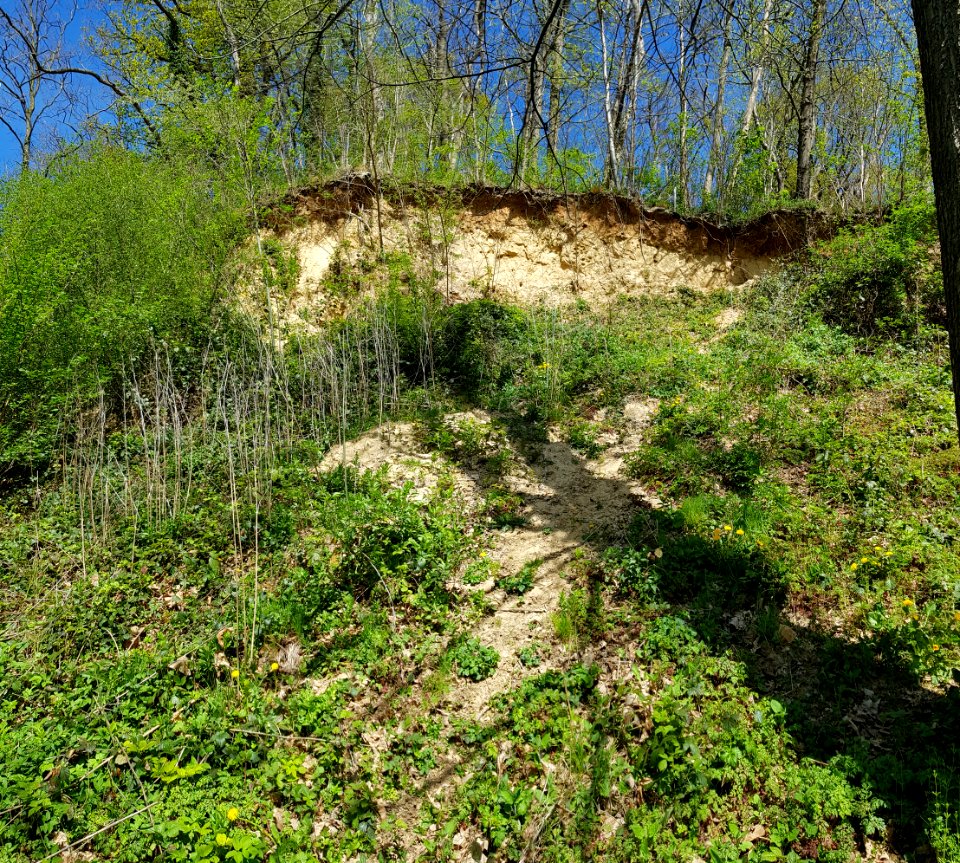 Meerssen-Groeve Waterval (9)
