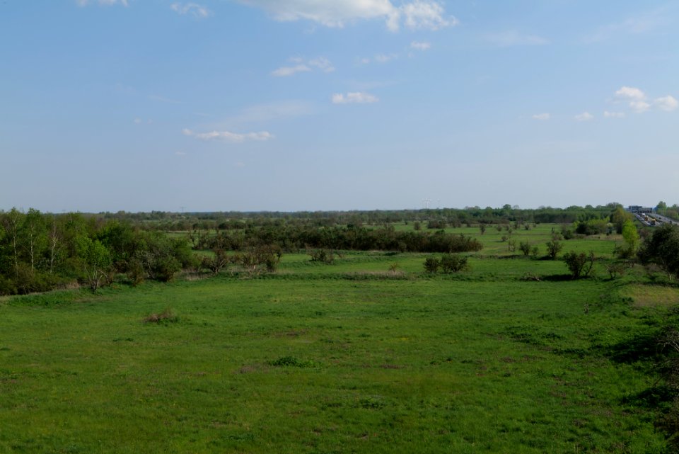 Meadow in Ragow 2021-05-11 24