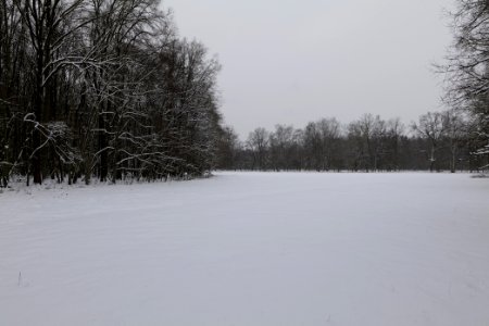 Meadow in the northwest of the Spandauer Forst with snow 2021-02-09 05