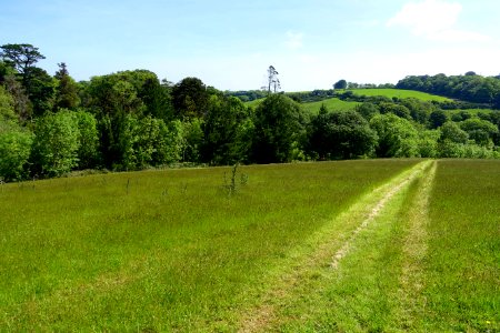 Meadow walkway - Lost Gardens of Heligan - Cornwall, England - DSC02675