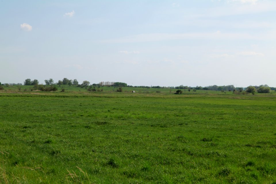 Meadow in Ragow 2021-05-11 17