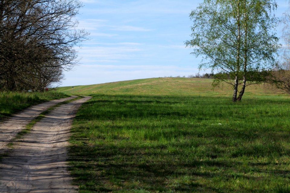 Meadow in Zossen 2021-05-09 06