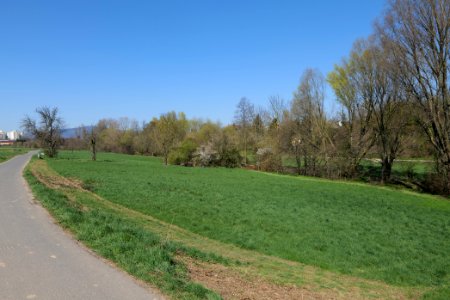 Meadow near Steinbach 2020-03-25 01