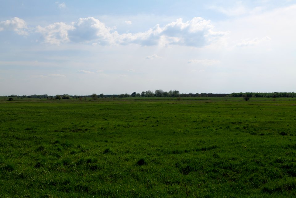 Meadow in Ragow 2021-05-11 18