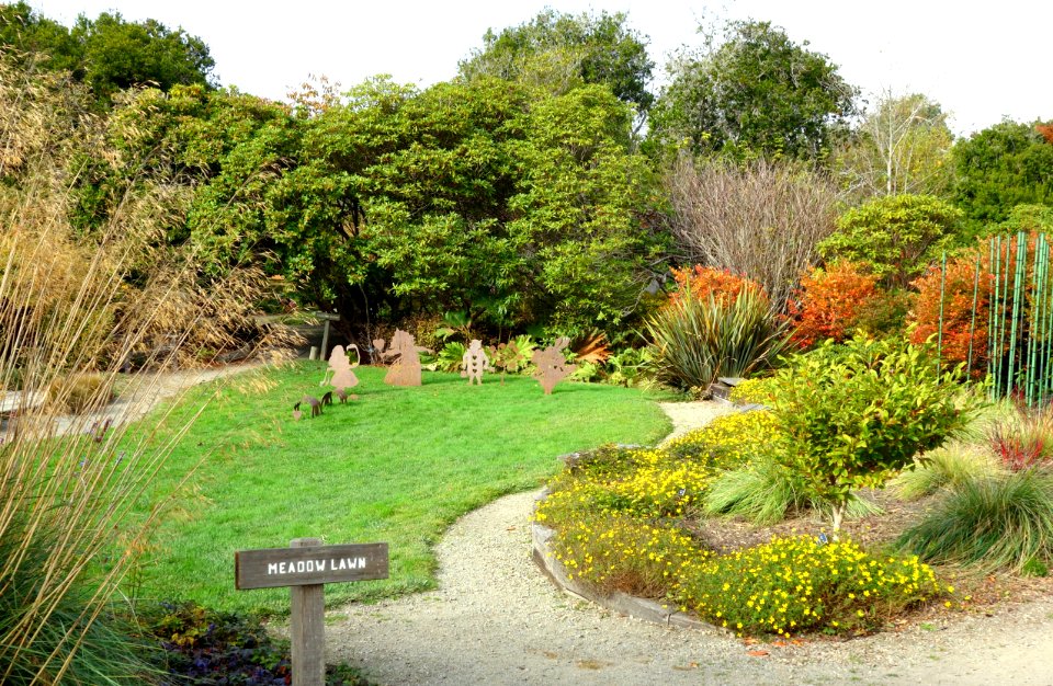Meadow Lawn - Mendocino Coast Botanical Gardens - DSC02177