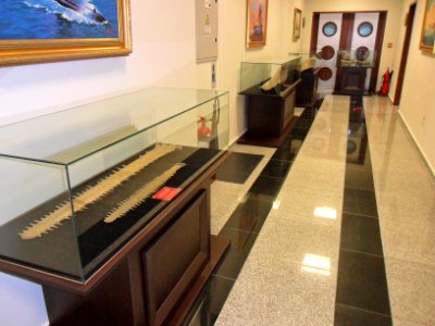 MDMK balık kemikleri