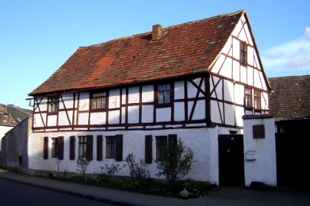 MD Altdiesdorf 31