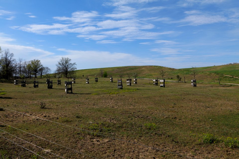 Meadow in Zossen 2021-05-09 08