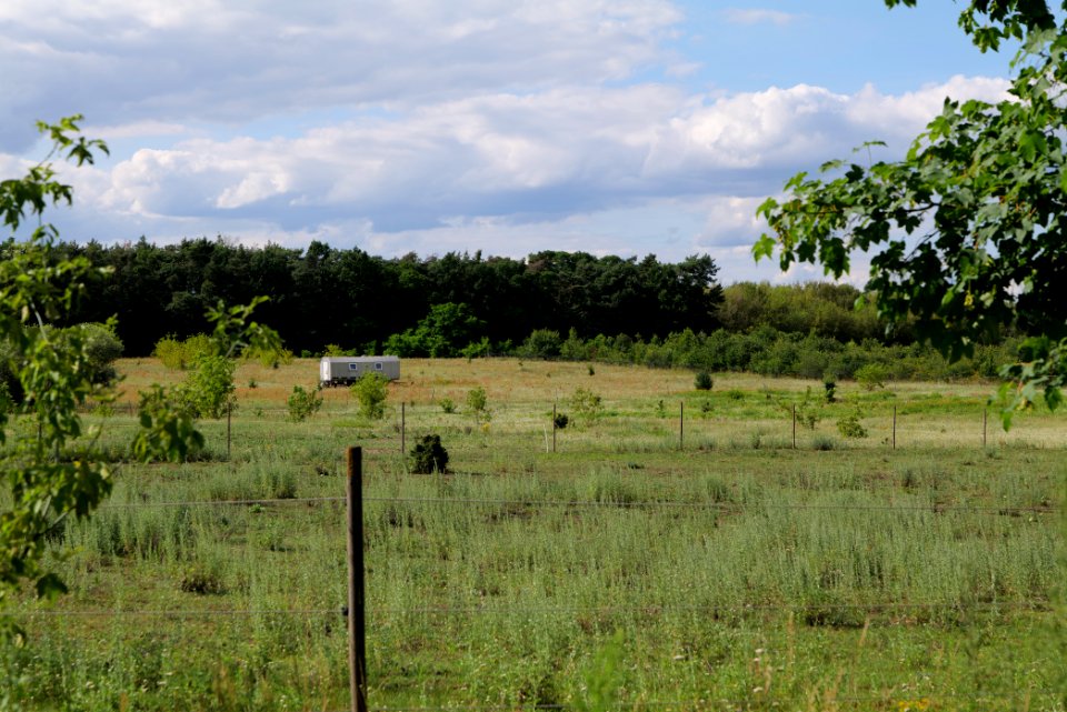 Meadow in Tasdorf 2020-07-22 08