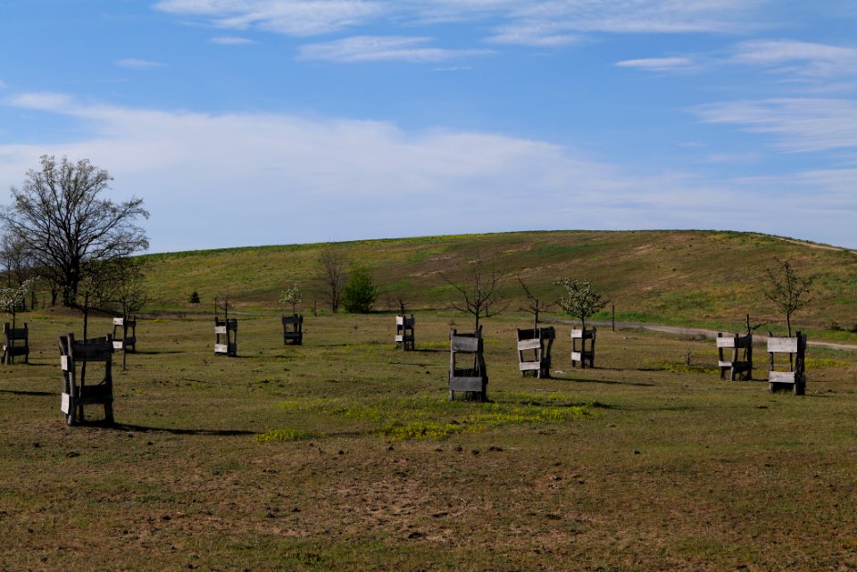 Meadow in Zossen 2021-05-09 09