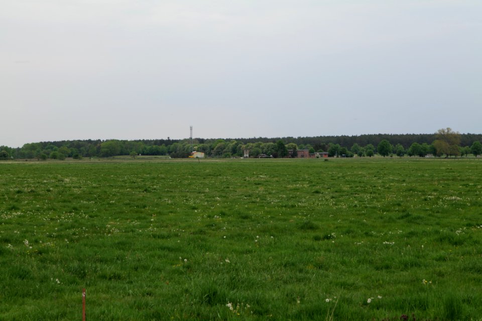 Meadow in Sommerfeld 2020-05-10 10